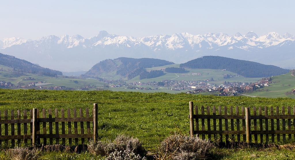 فندق Bio Garni Moeschberg Grosshochstetten المظهر الخارجي الصورة