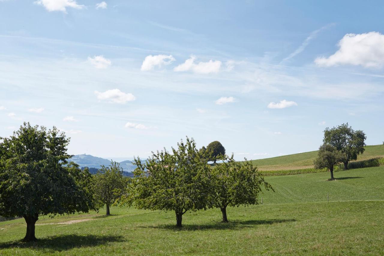 فندق Bio Garni Moeschberg Grosshochstetten المظهر الخارجي الصورة